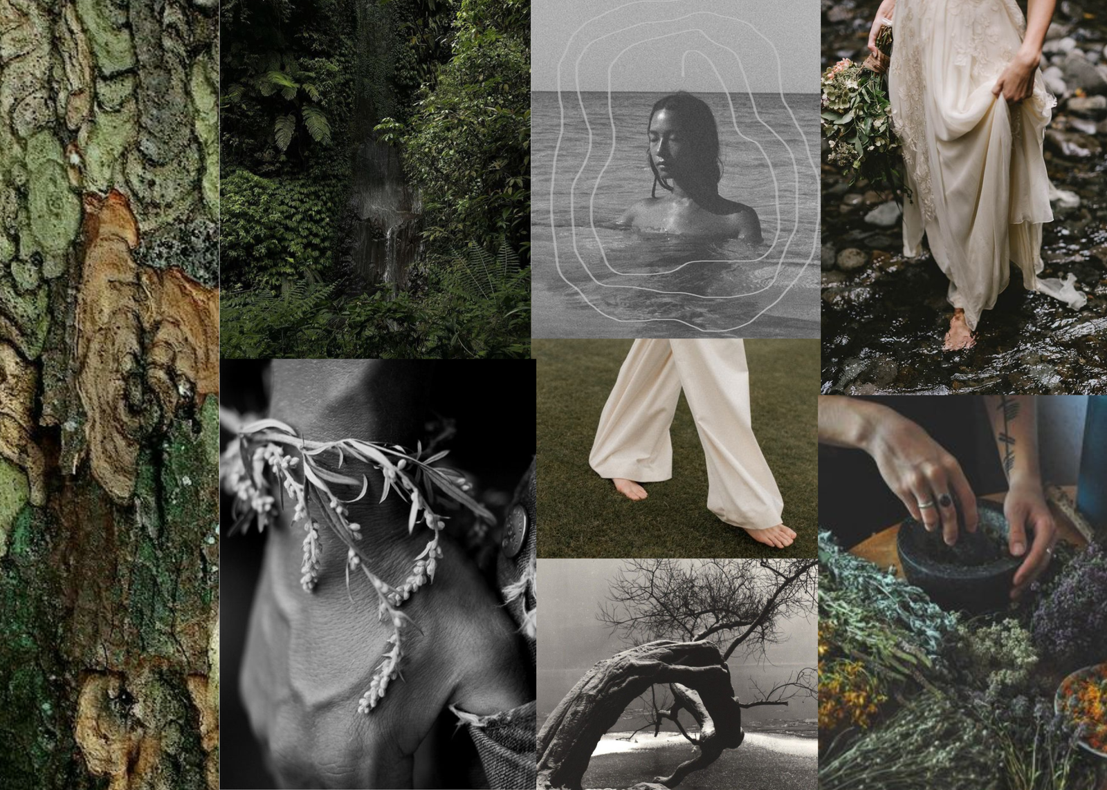 Moodboard del concepto La tierra en la memoria